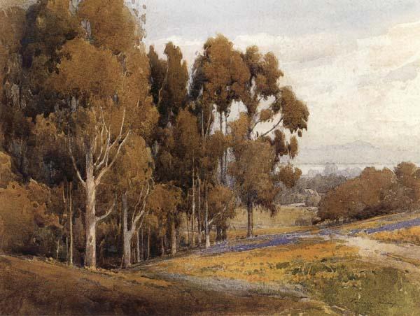 unknow artist A Grove of Eucalyptus in Spring oil painting picture
